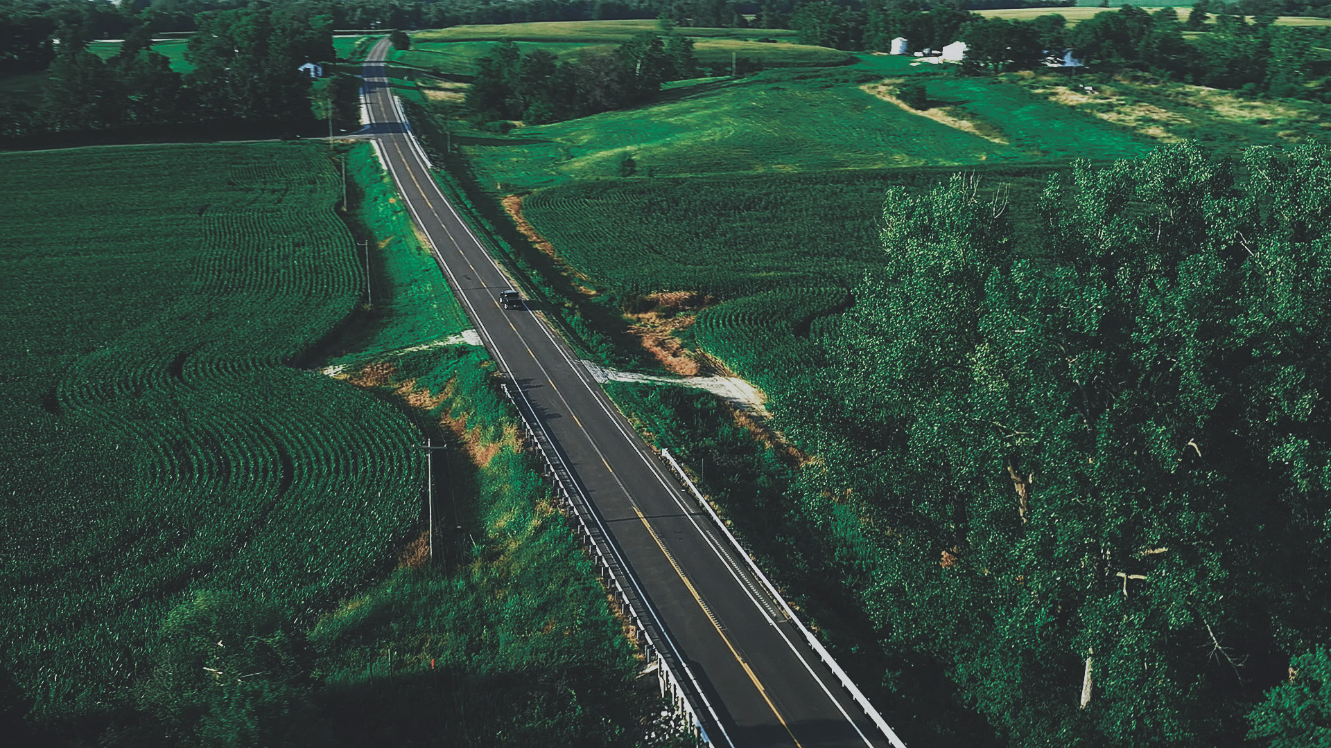 road surrounded by greenery stretches into the distance